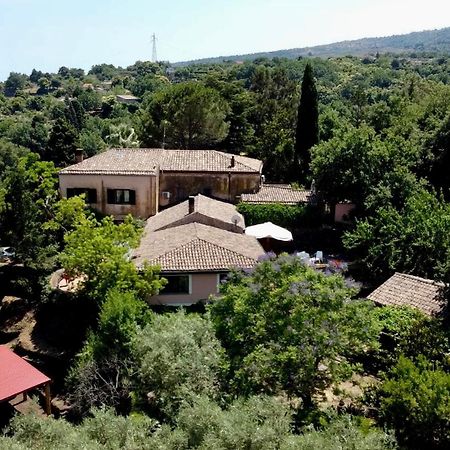 Bed And Breakfast Il Glicine Piedimonte Etneo Extérieur photo