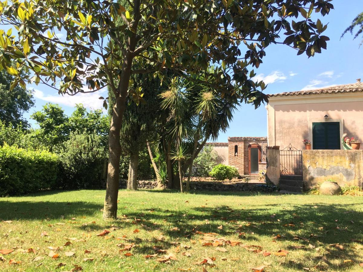 Bed And Breakfast Il Glicine Piedimonte Etneo Chambre photo