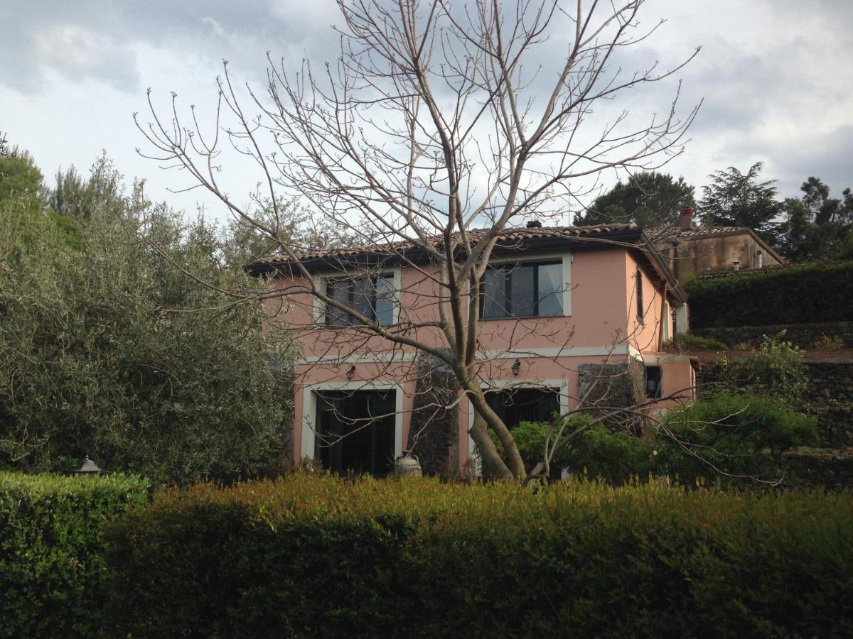 Bed And Breakfast Il Glicine Piedimonte Etneo Extérieur photo