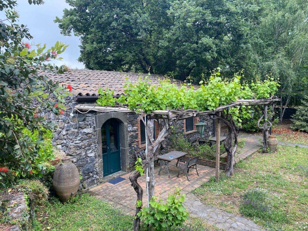 Bed And Breakfast Il Glicine Piedimonte Etneo Extérieur photo